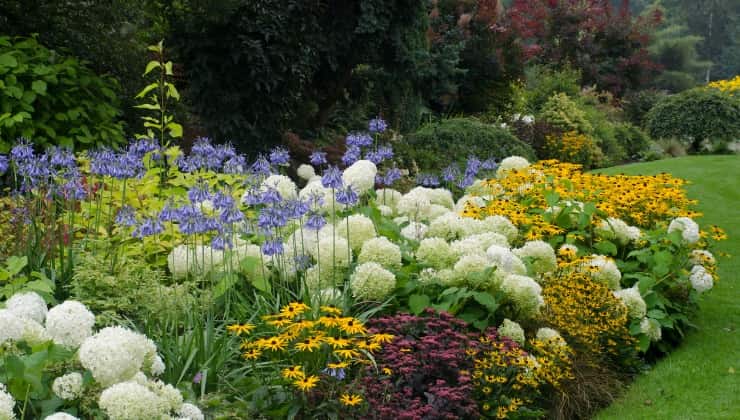 Giardino fiorito