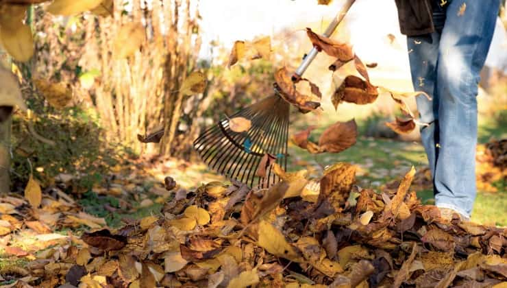 Giardino in autunno