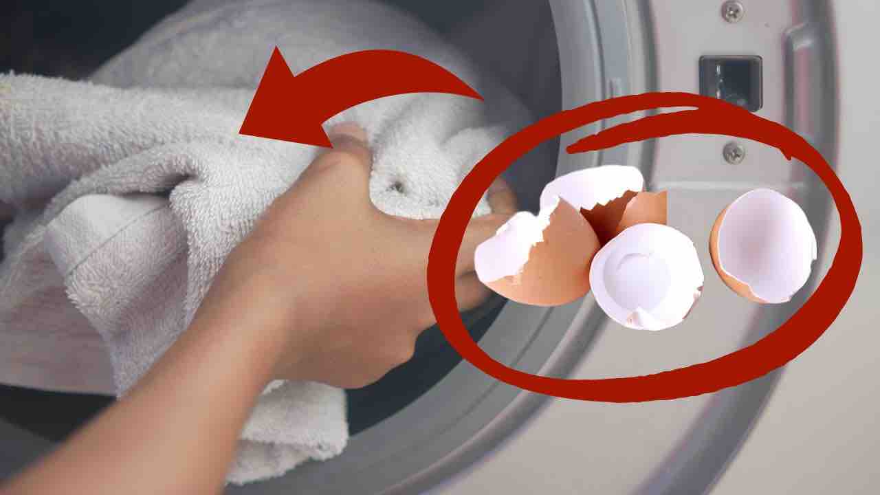 gusci delle uova in lavatrice