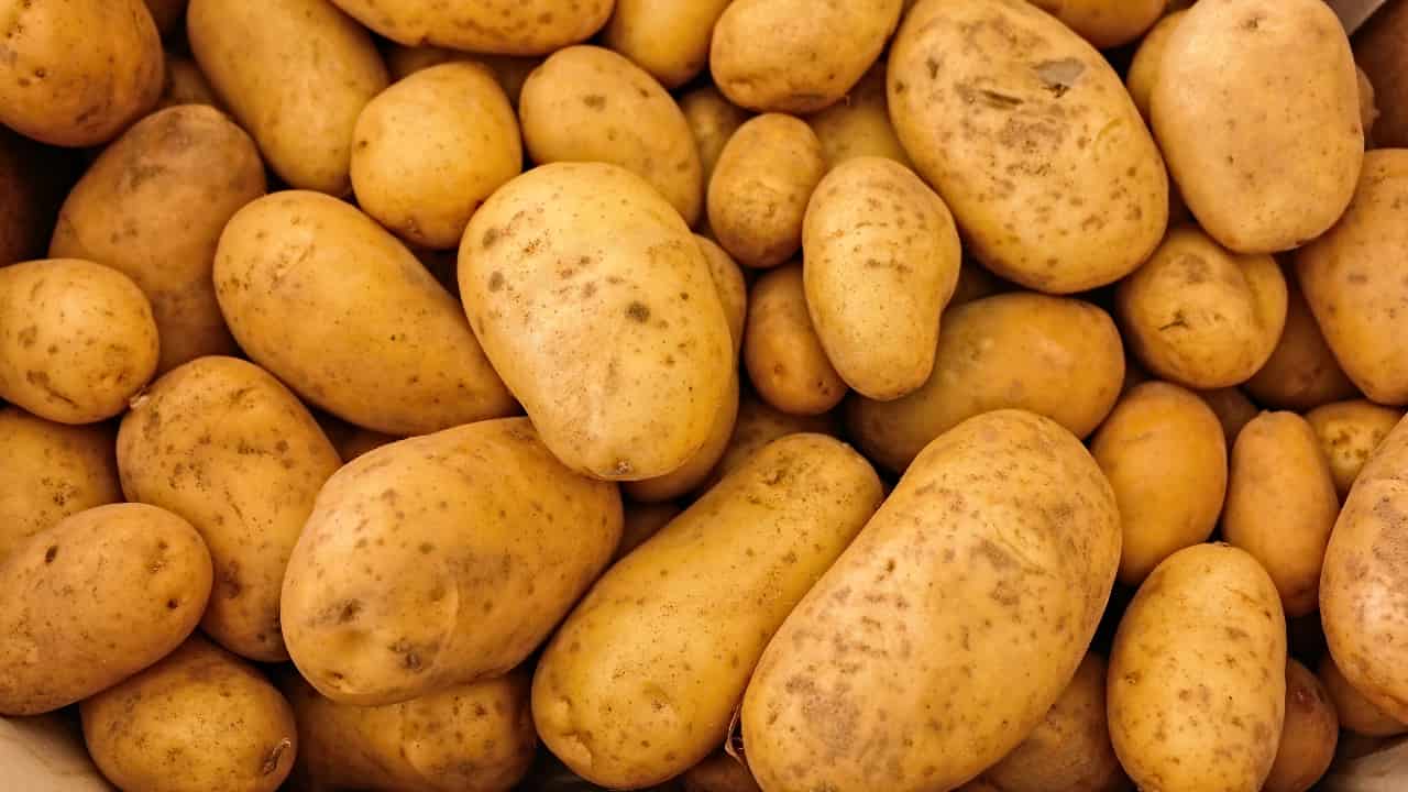 Patate