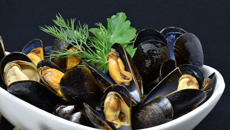 Piatto di cozze nere cotte