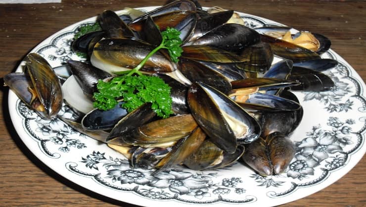 Piatto di cozze aperte