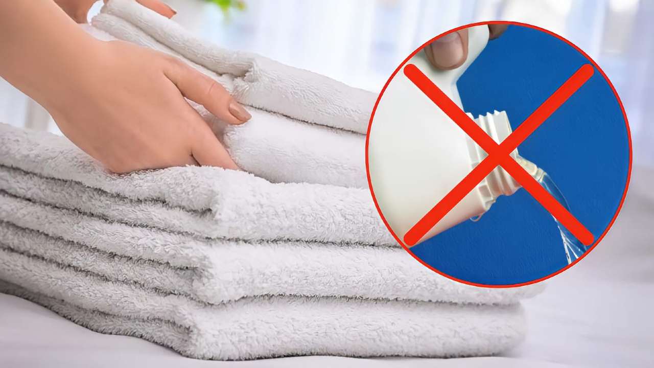 Asciugamani bianchi senza candeggina