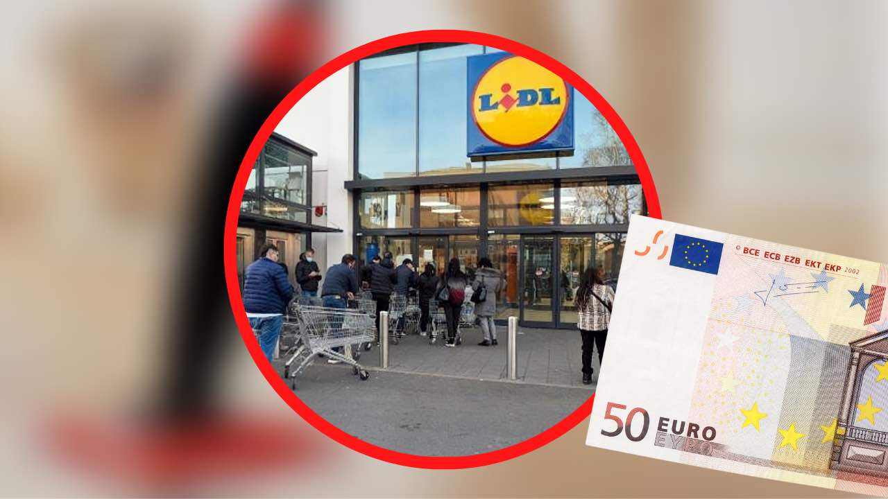 File incredibili alla Lidl