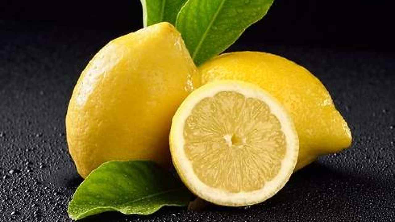 Limoni