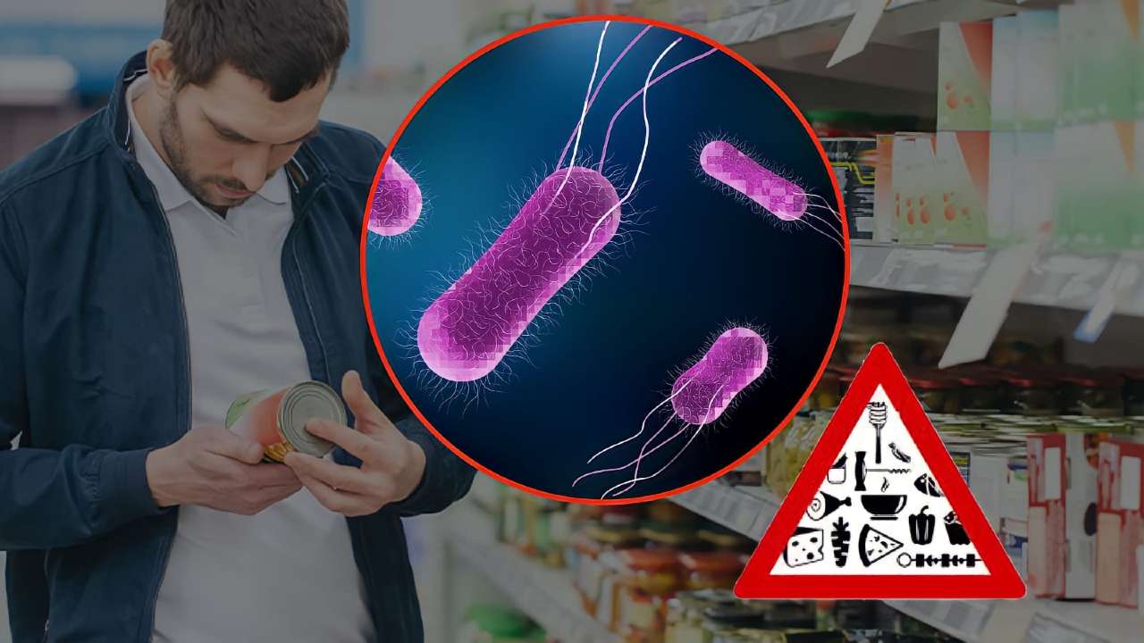 Marchio rischio salmonella