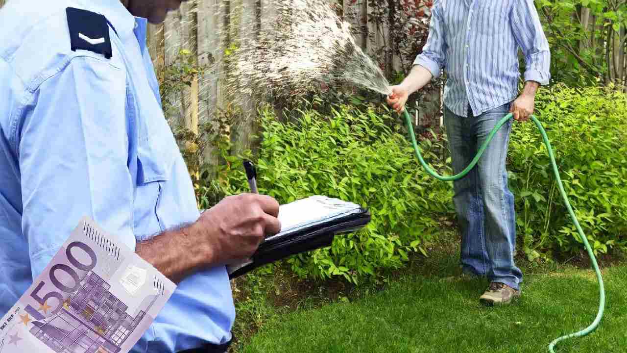 Quando annaffiare il giardino