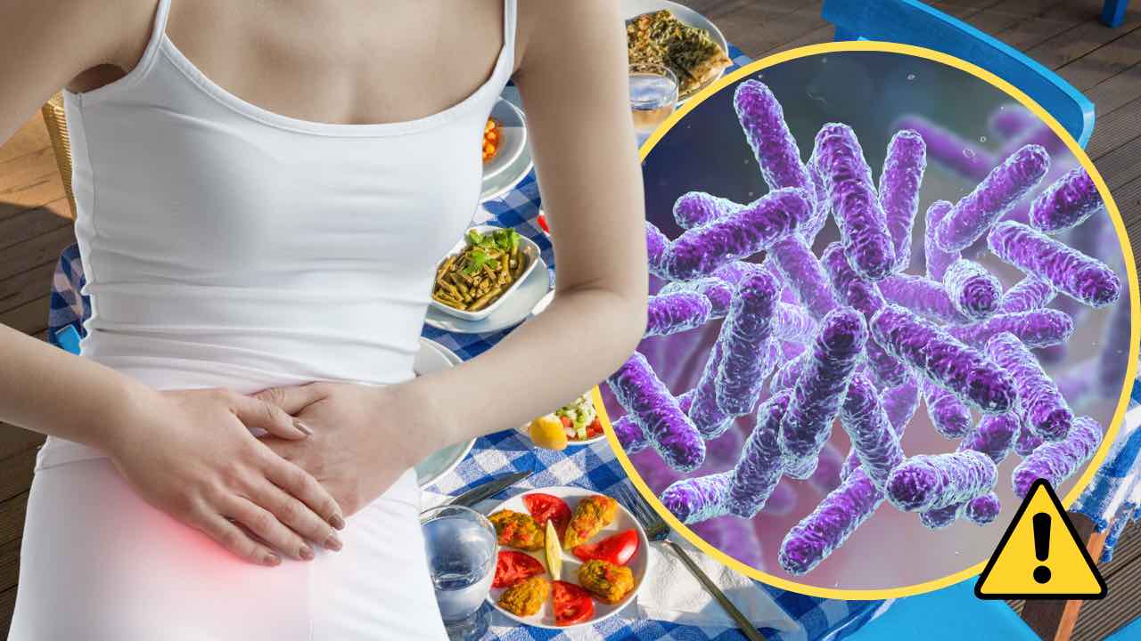 Salmonella a tavola