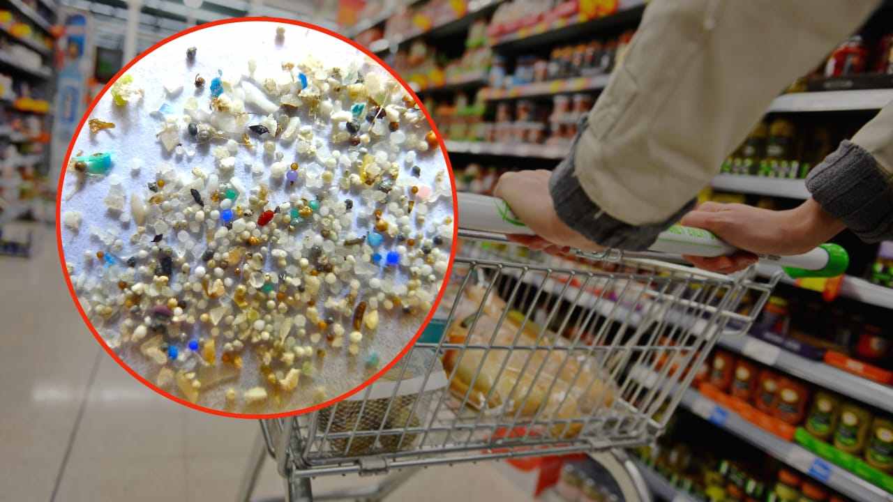 Vetri e plastica alimenti