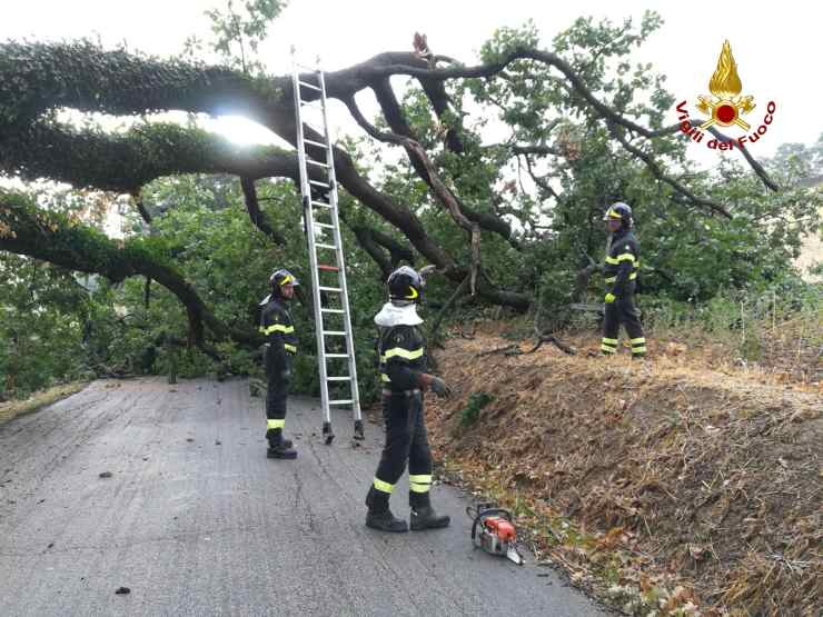 Vigili del Fuoco 