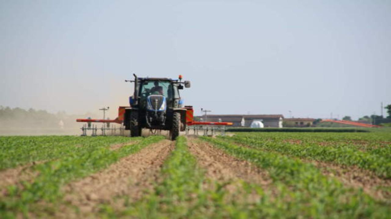 Azienda Agricola: ecco quanto guadagna un giovane del Messico