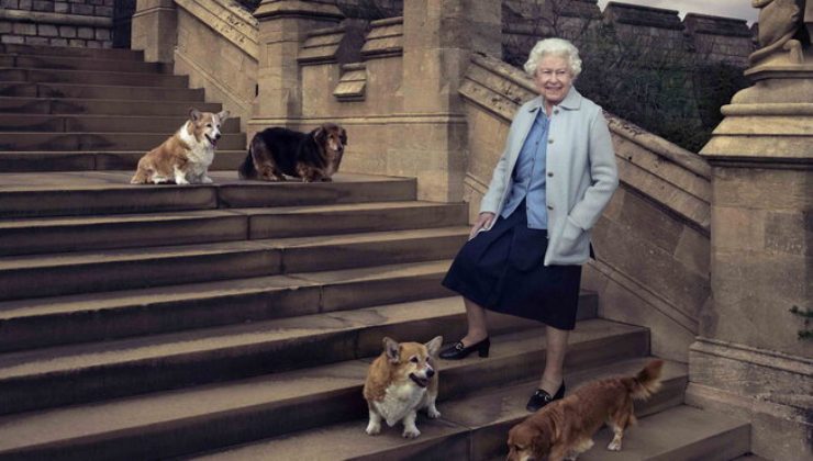 Regina Elisabetta II: ecco come alimentava i suoi cani