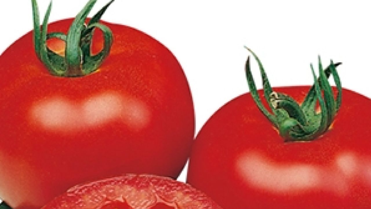 pomodoro